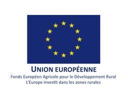 Logo European Union
