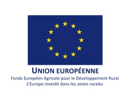 Union Européenne