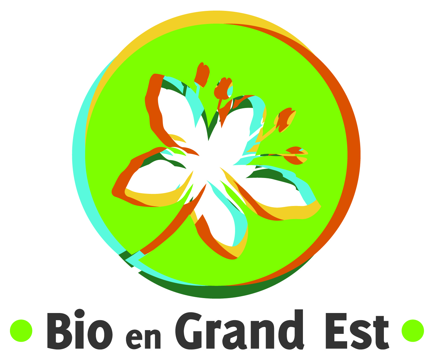 Logo BGE